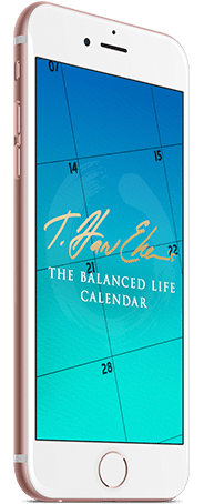 BONUS #3 – The Balanced Life Calendar: How to run a successful company without running yourself into the ground ($197 Value)